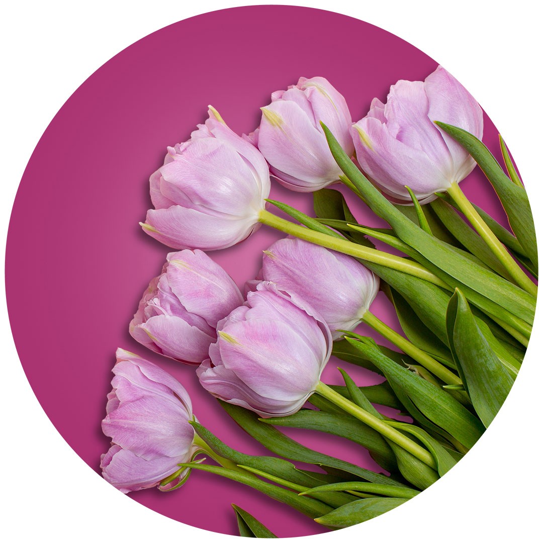 Flower Shops